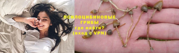 прущая мука Балахна