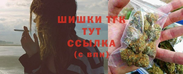PSILOCYBIN Балабаново